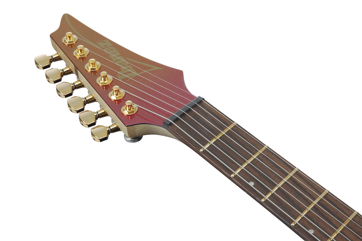 Ibanez2.jpg