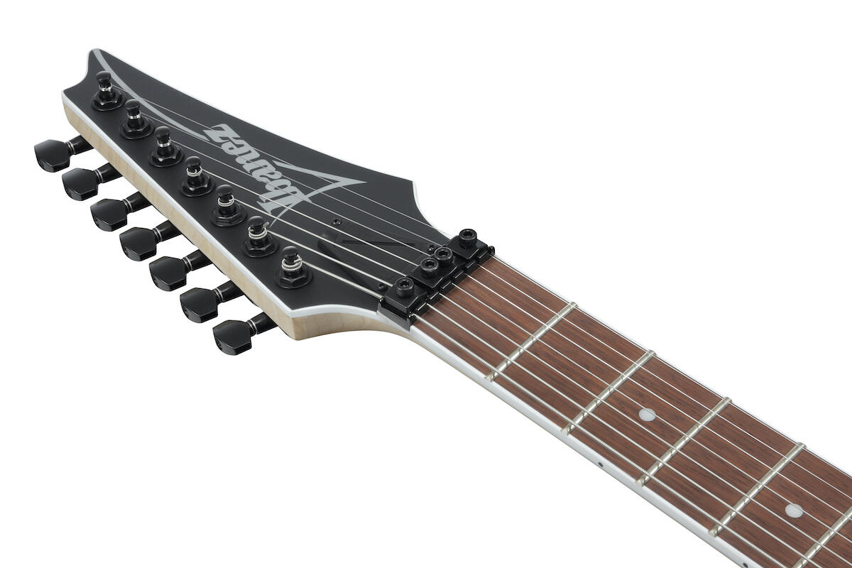 Ibanez6.jpg