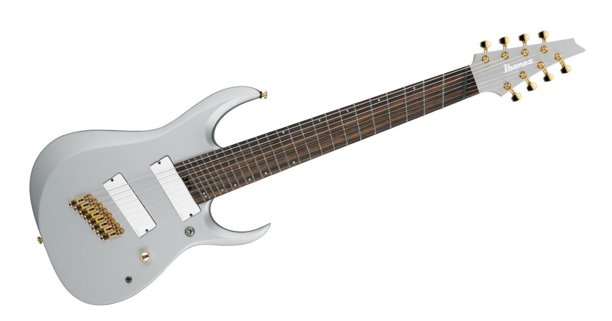 Ibanez8.jpg