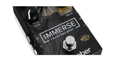 Immerse-1.jpg