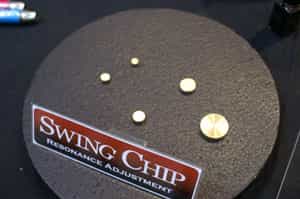 chip.JPG