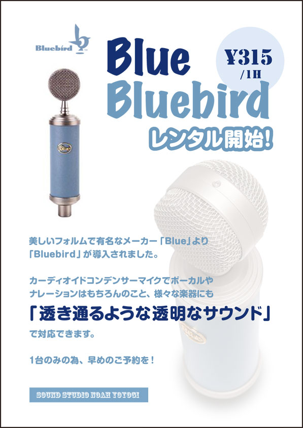 bluebird.jpg