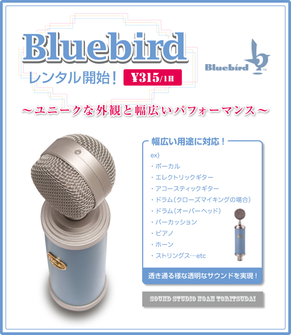 bluebird1.jpg