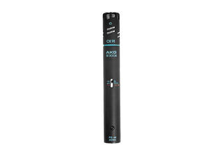 AKG C391B